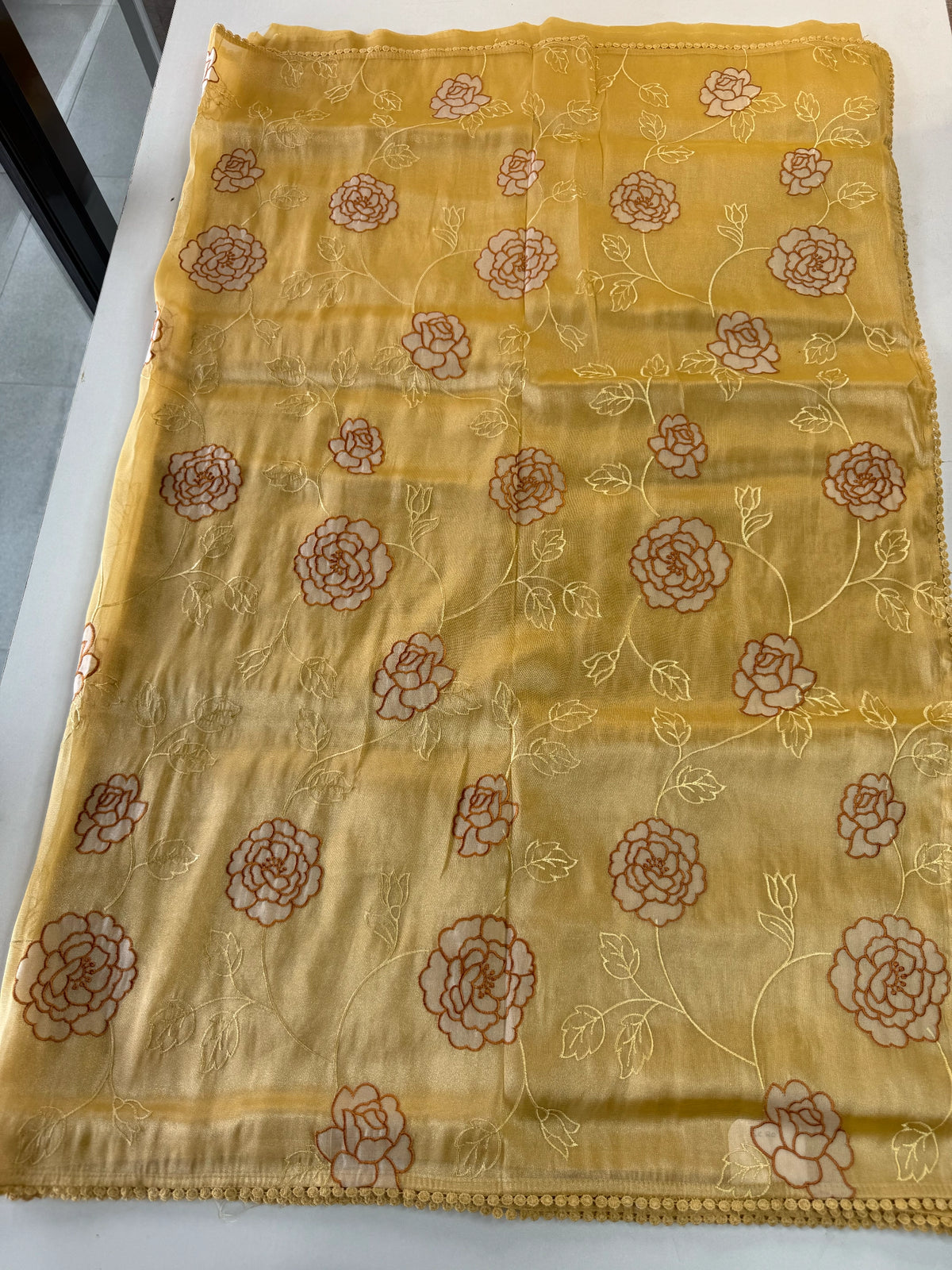 Tissue Organza Saree/ SC80