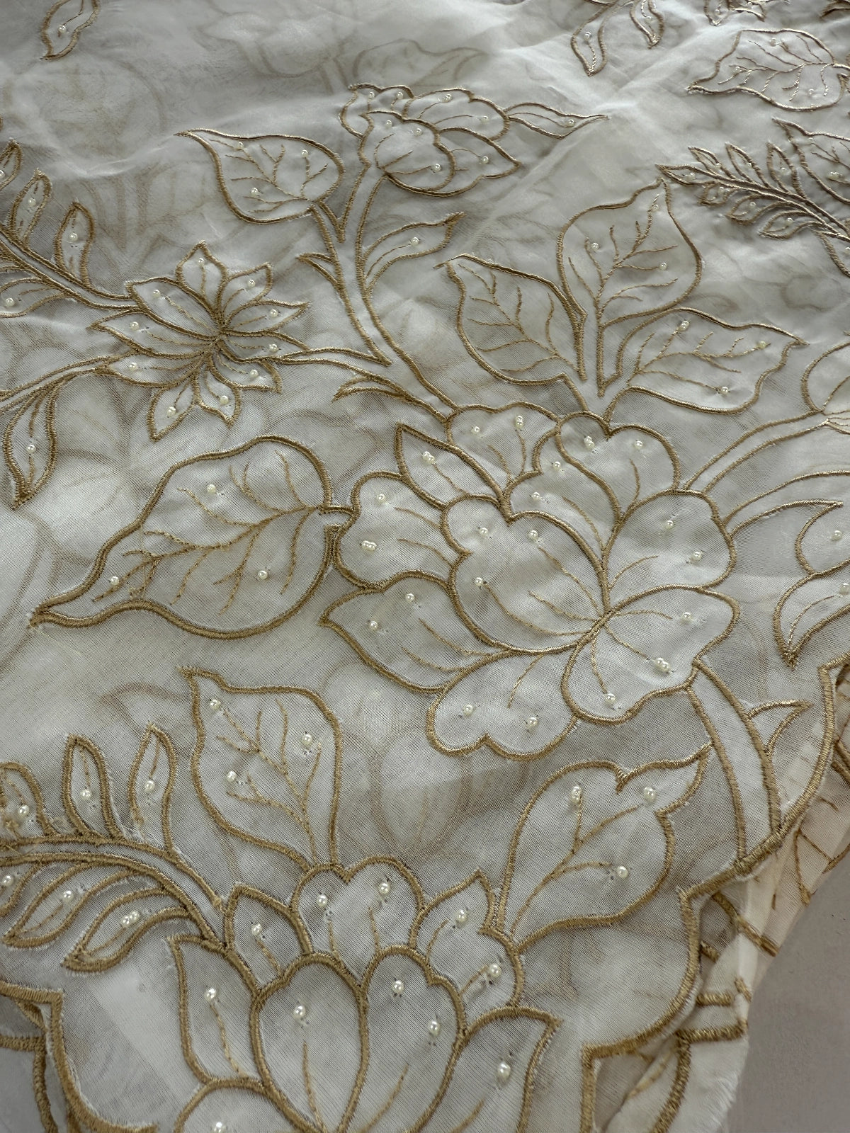 Viscous Organza Saree/ AWS22