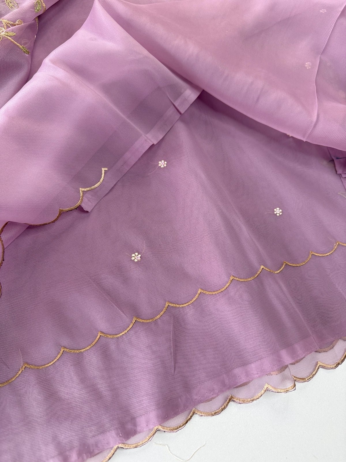 Semi Viscous Organza Saree / AWS74