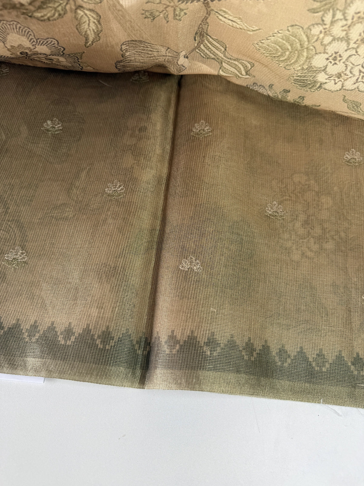 Tissue Chanderi Saree/ 527A