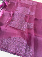 Glass Organza Saree / 199B