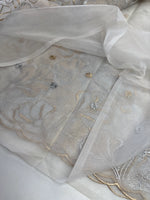 Organza Saree/ SS842