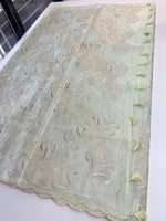 Organza Saree/ SS842