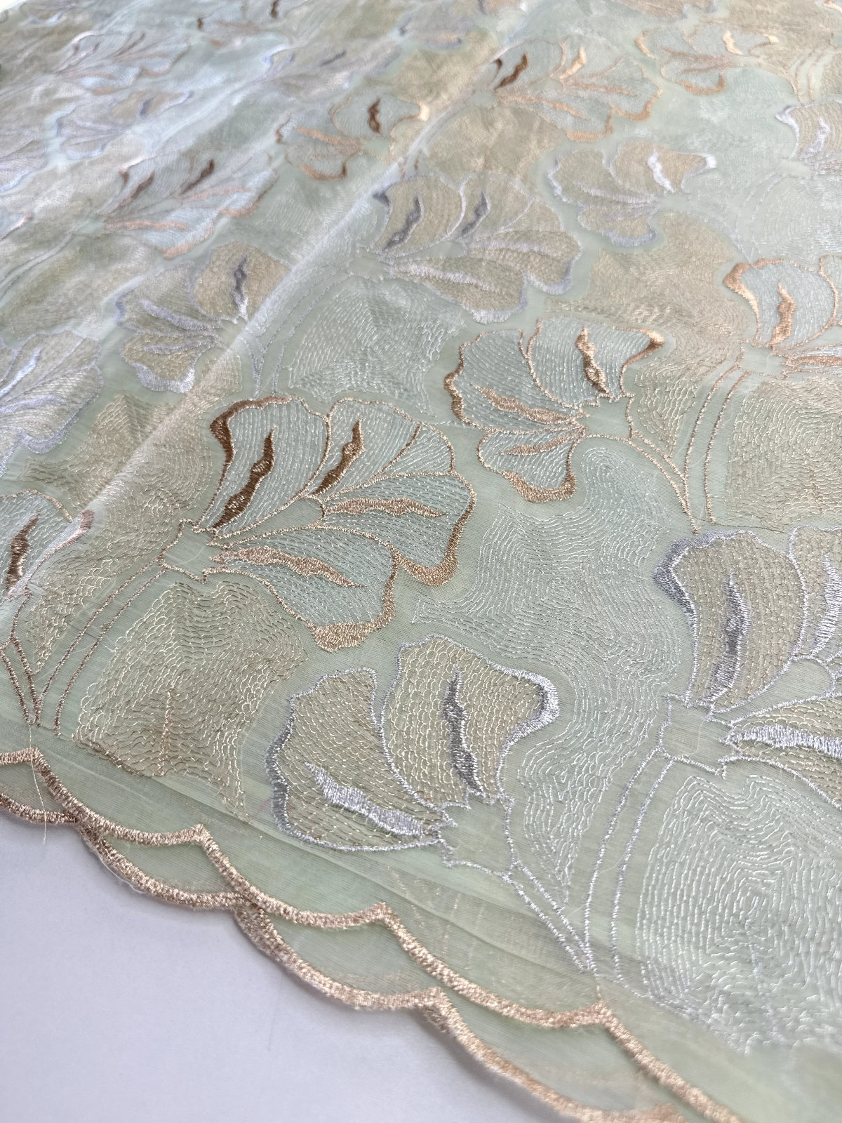 Organza Saree/ SS842