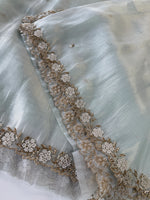 Tissue Organza Saree/ AB21