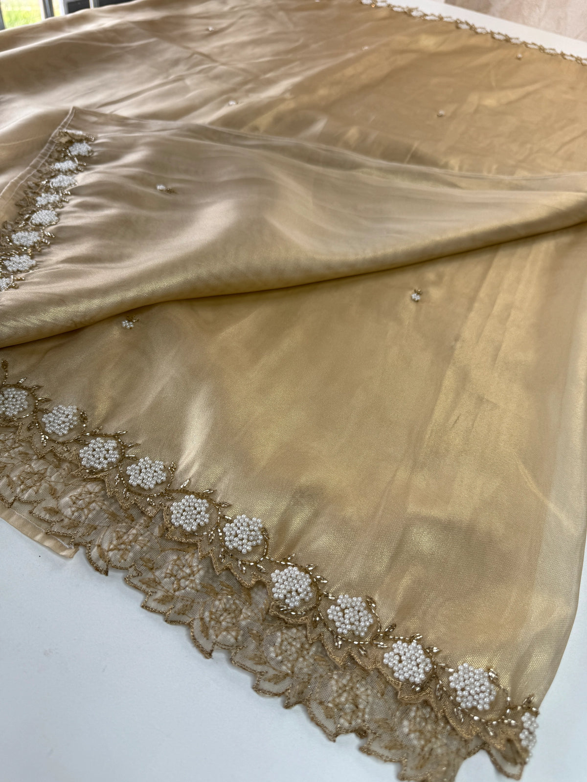 Tissue Organza Saree/ AB21