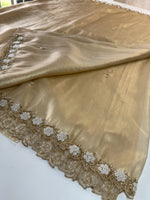 Tissue Organza Saree/ AB21