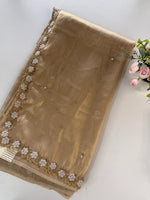 Tissue Organza Saree/ AB21