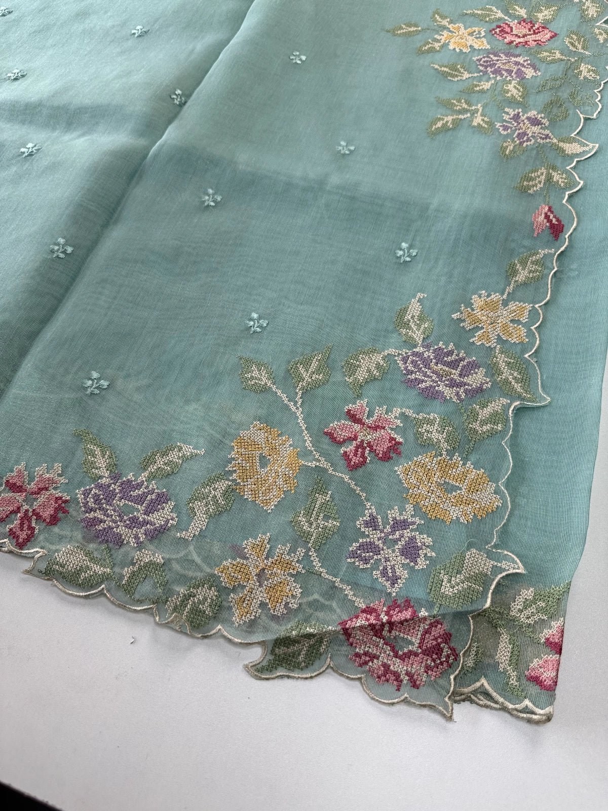 Tissue Organza Saree / ACM07