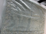 Tissue Organza Saree/ SA009