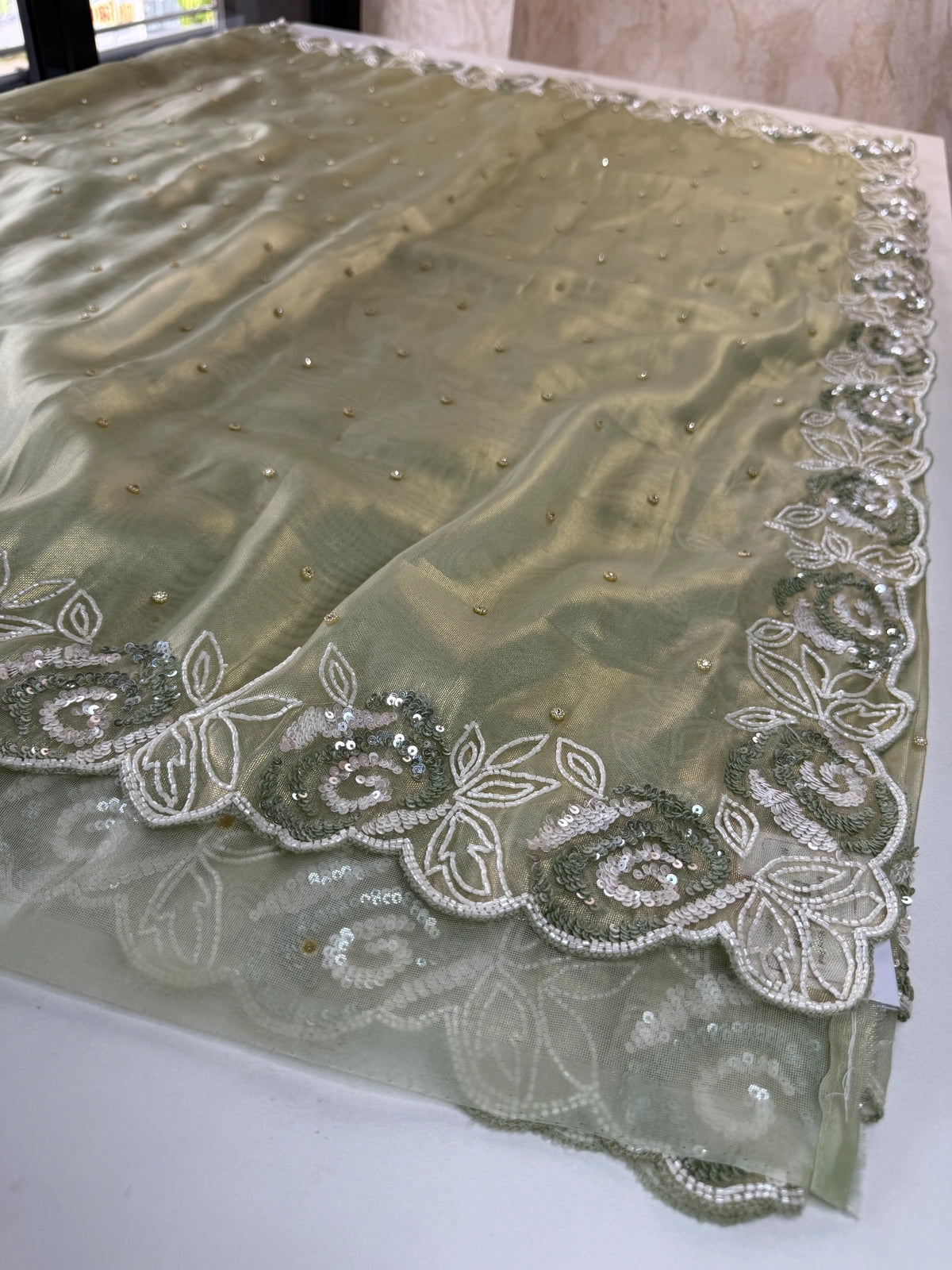 Tissue Organza Saree/ SA009