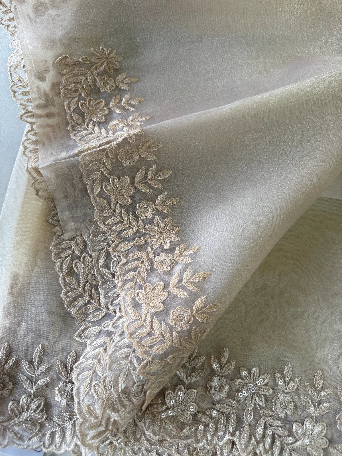 Glass Organza Saree / CW150