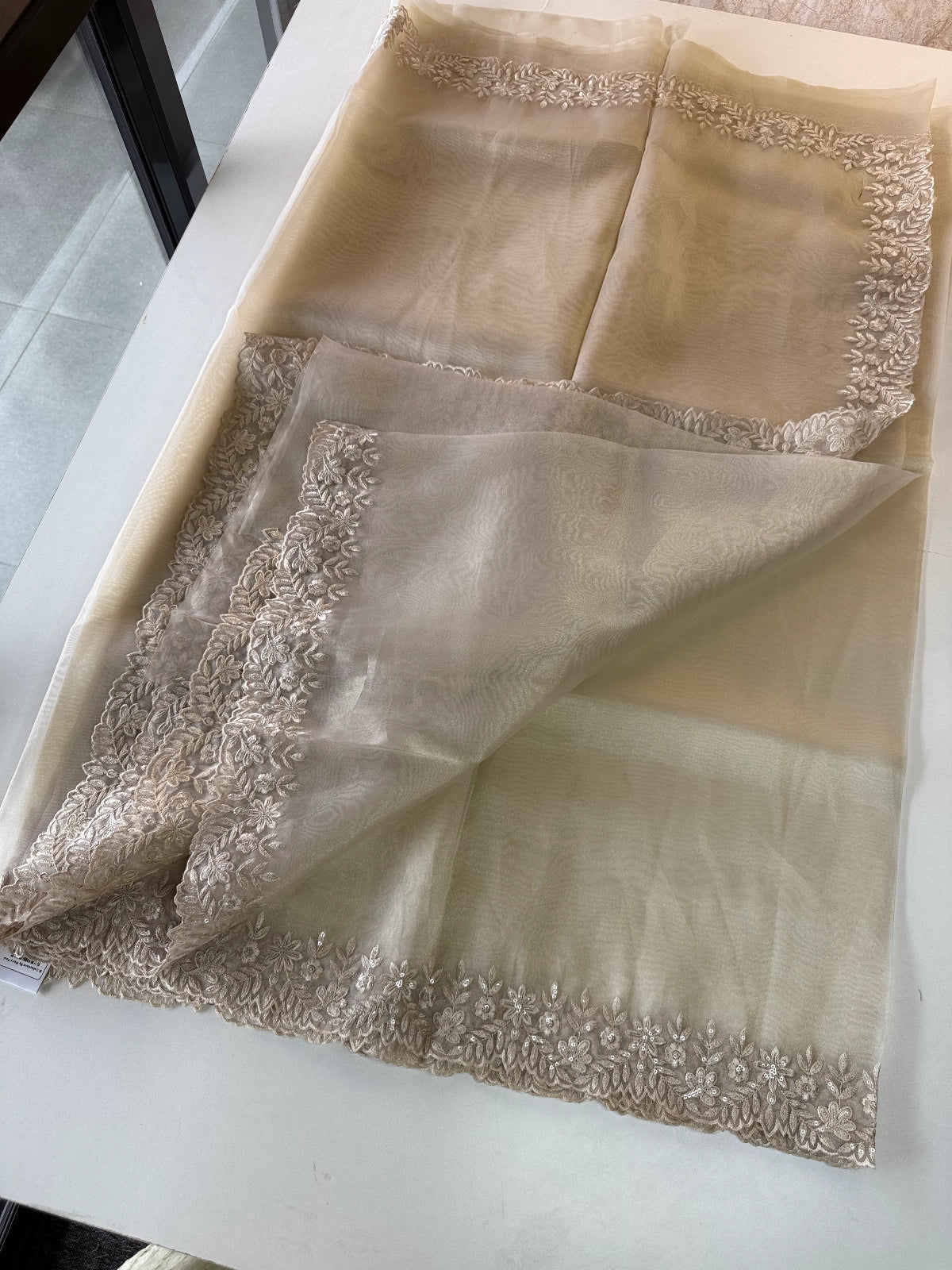 Glass Organza Saree / CW150