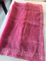Glass Organza Saree / CW150