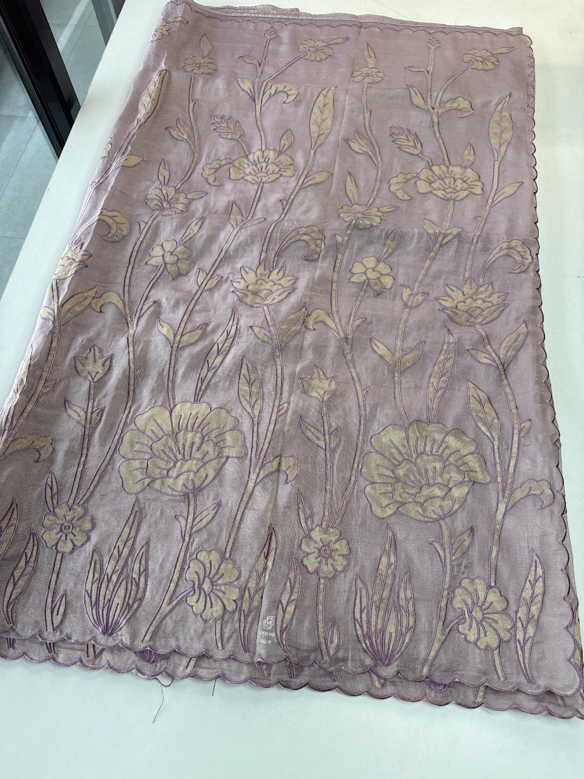 Tissue Georgette Saree/ WS58