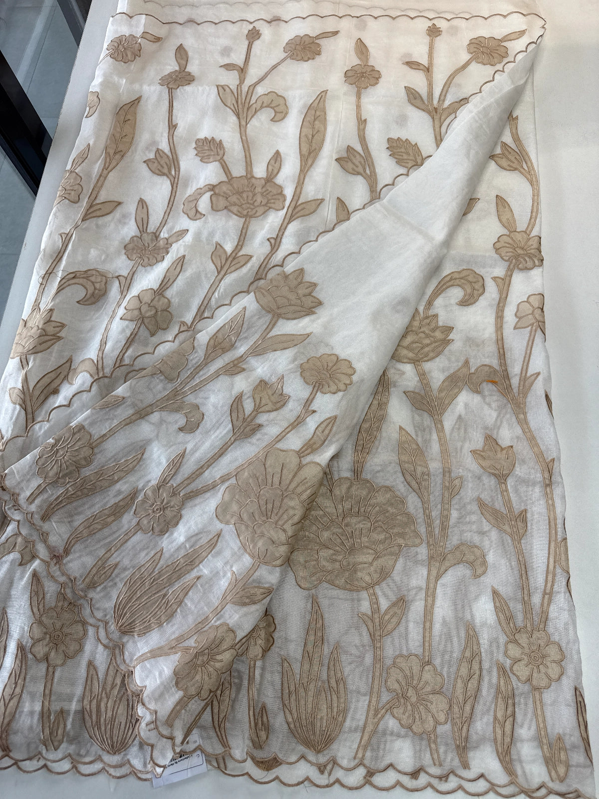 Tissue Georgette Saree/ WS58