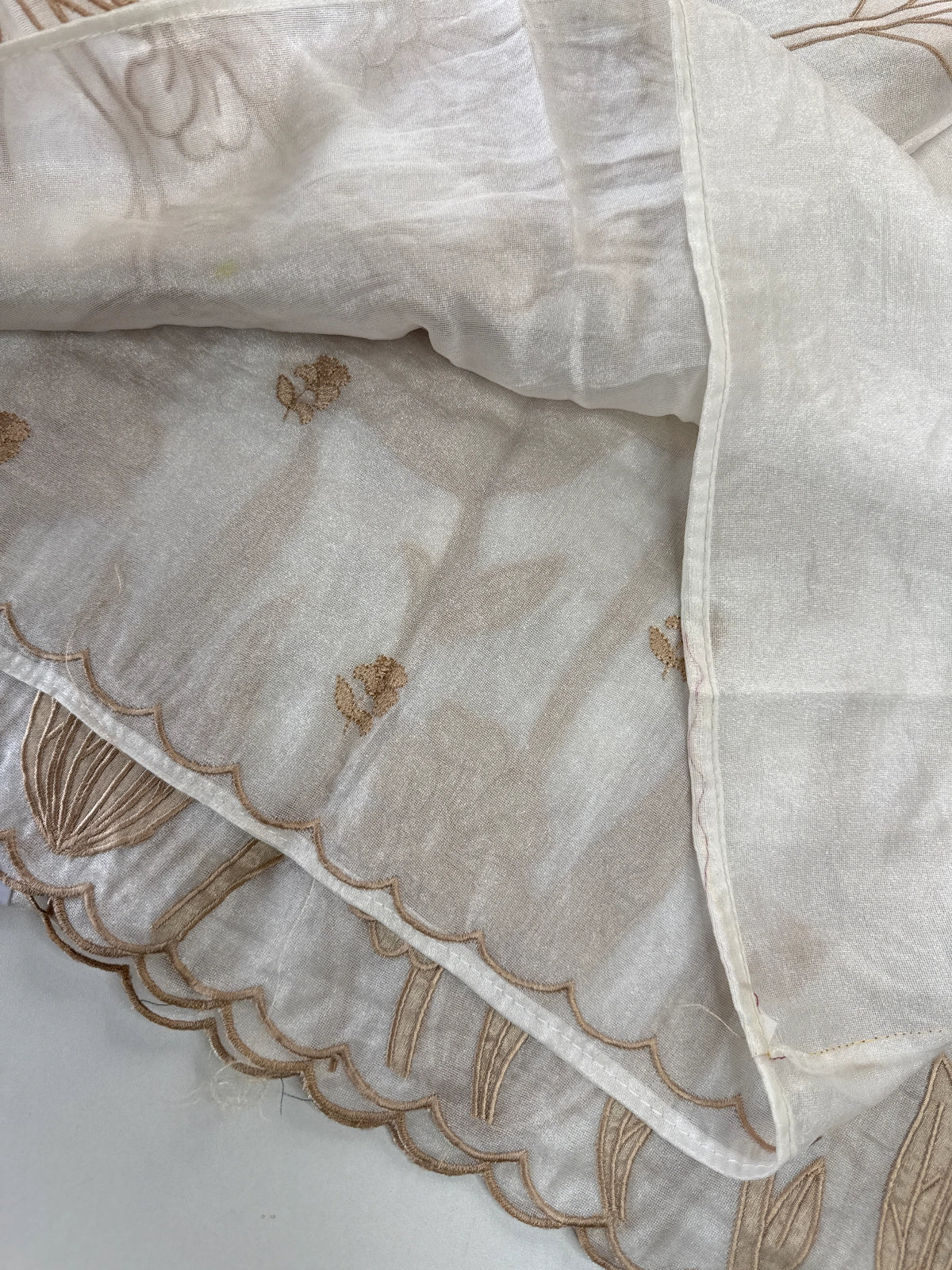 Tissue Georgette Saree/ WS58