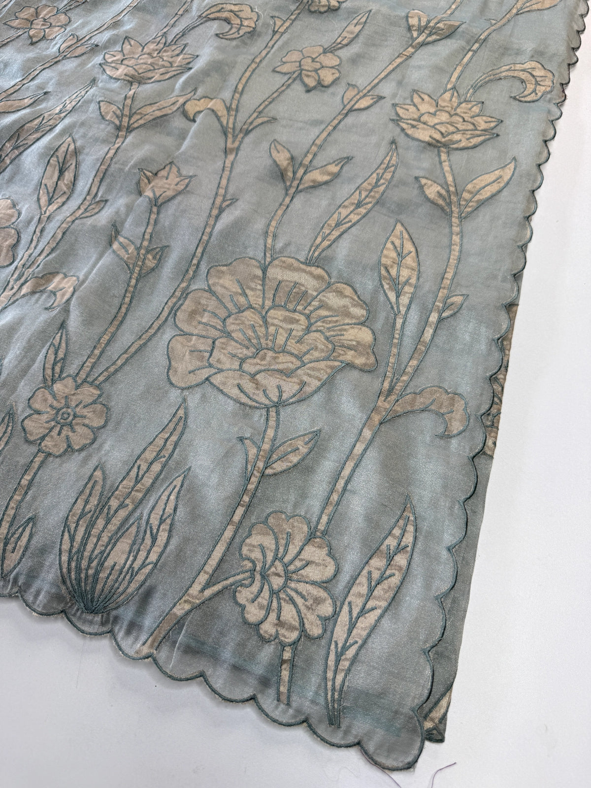Tissue Georgette Saree/ WS58