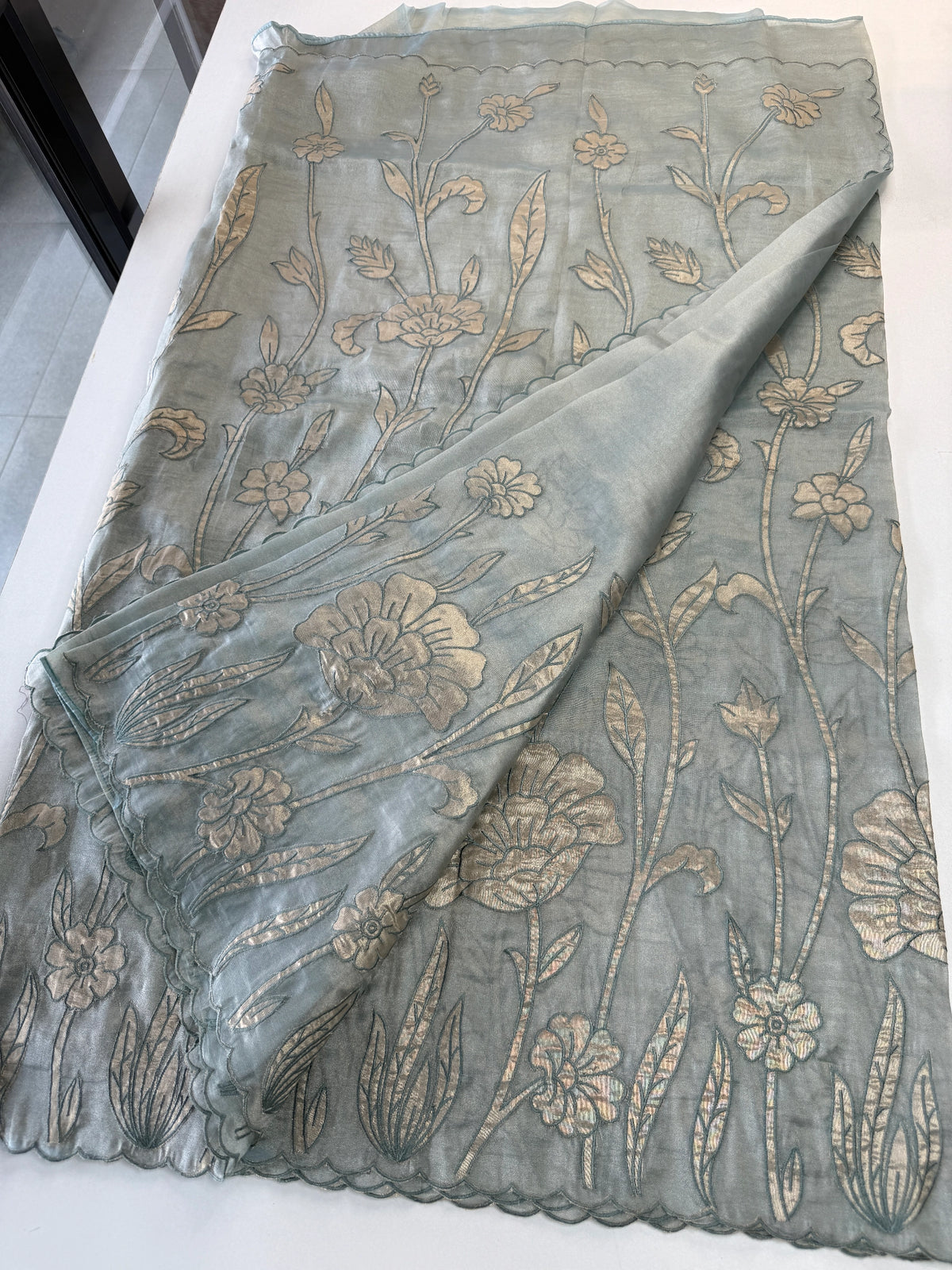 Tissue Georgette Saree/ WS58