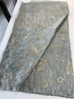 Tissue Georgette Saree/ WS58