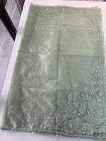 Soft Organza saree / HW330
