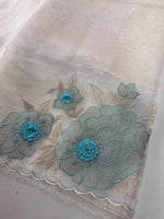 Glass Organza Saree/ HW328