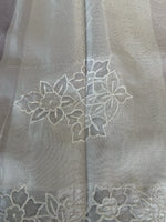 Tissue Saree/ MC108