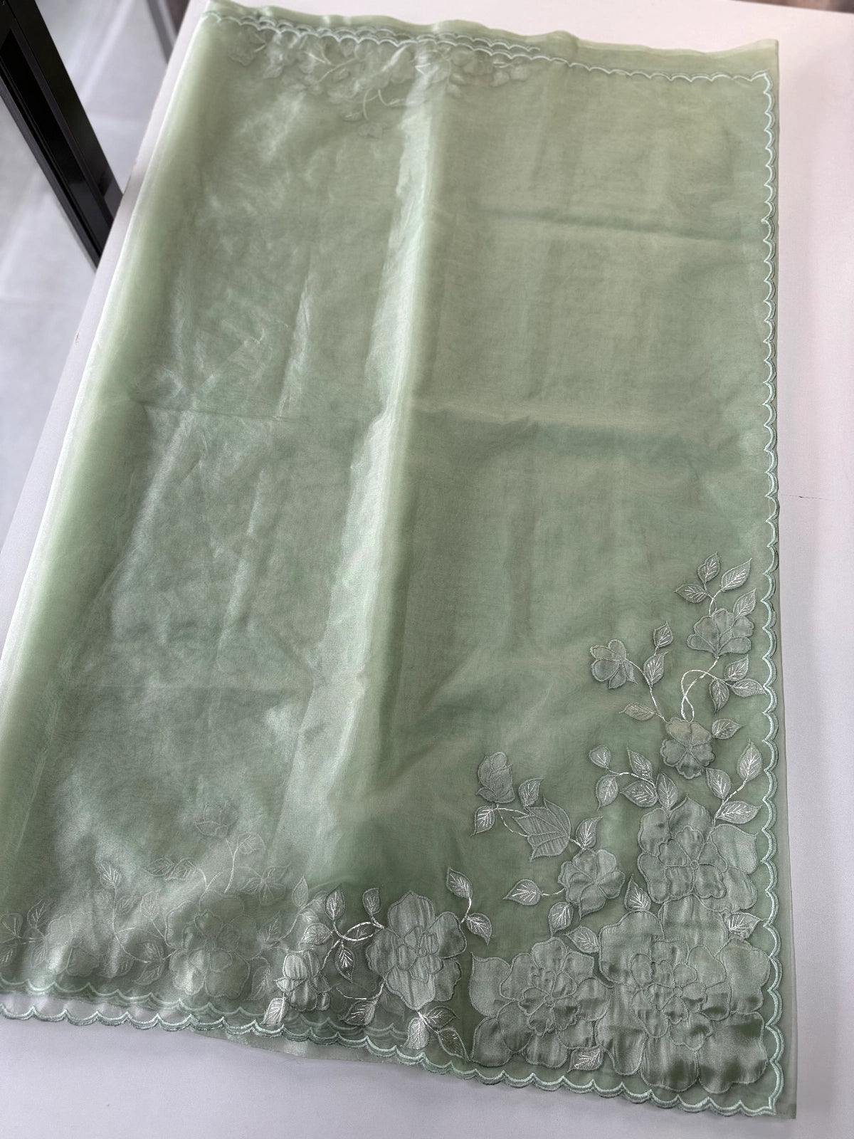 Soft Organza saree / HW330