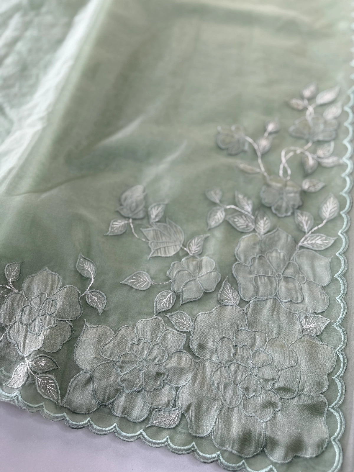 Soft Organza saree / HW330