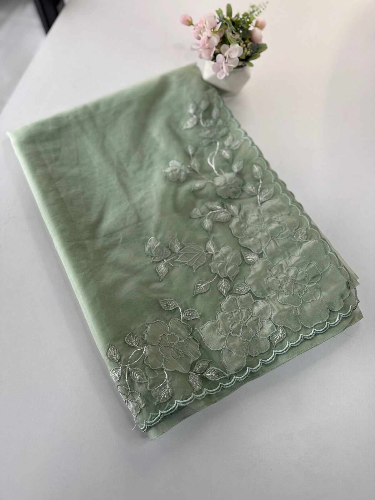 Soft Organza saree / HW330