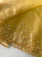Soft Organza saree / HW330