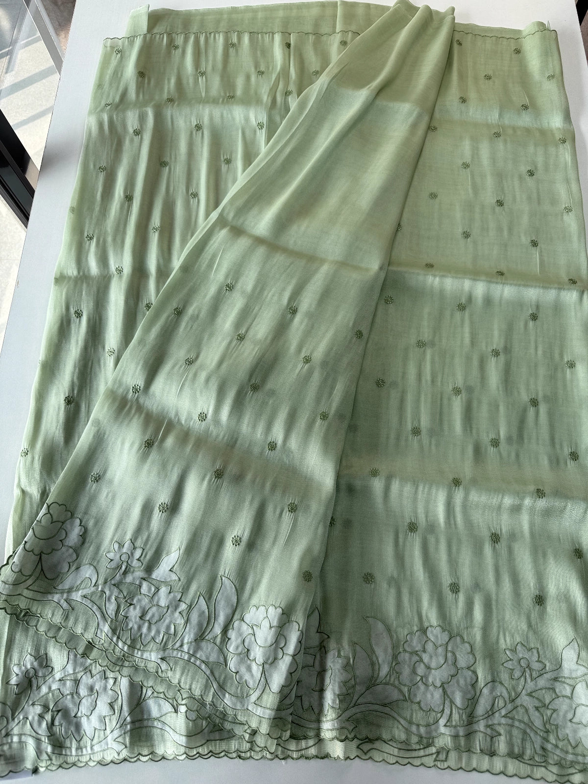 Tissue Organza Saree / CK093