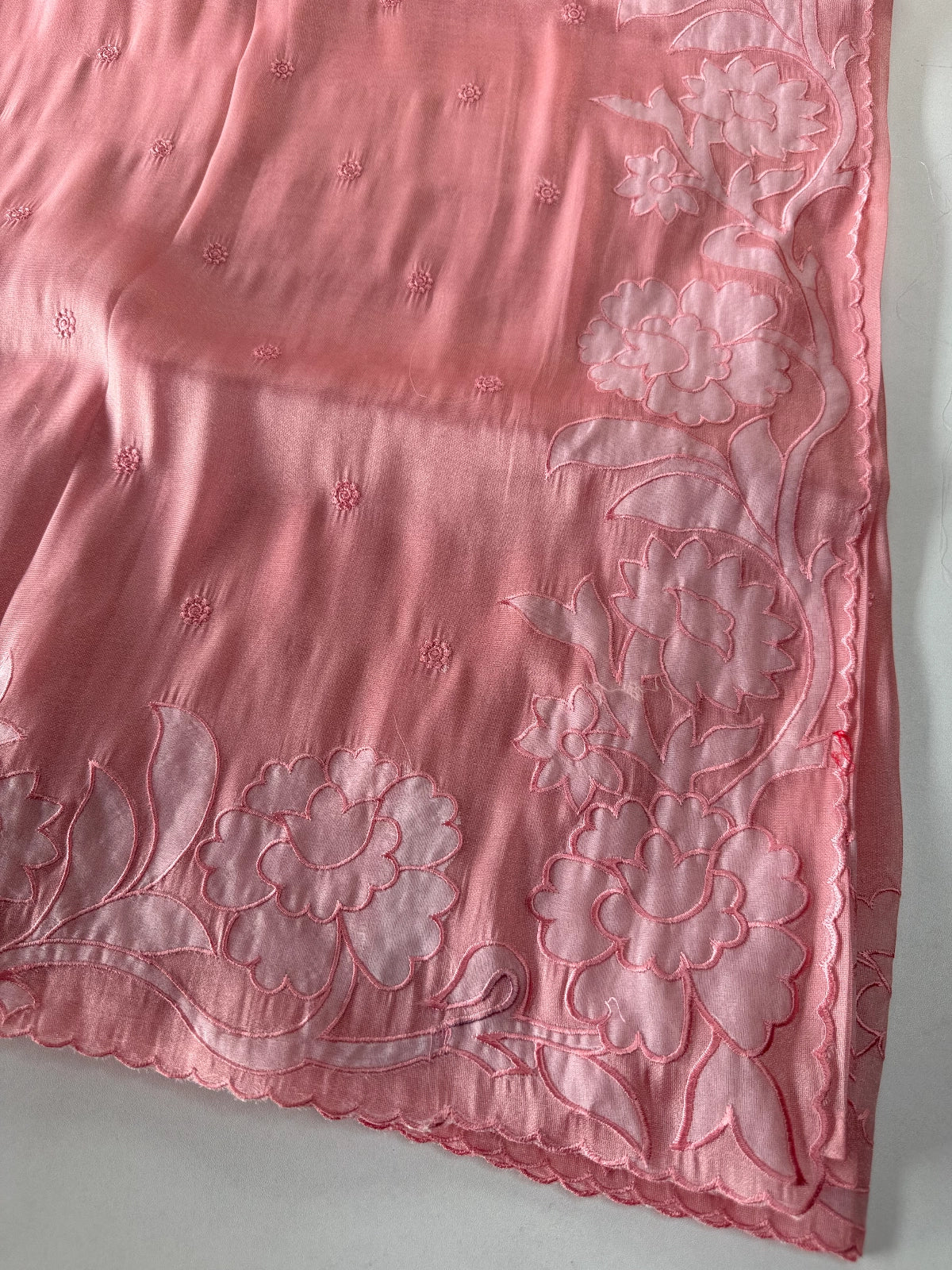 Tissue Organza Saree / CK093