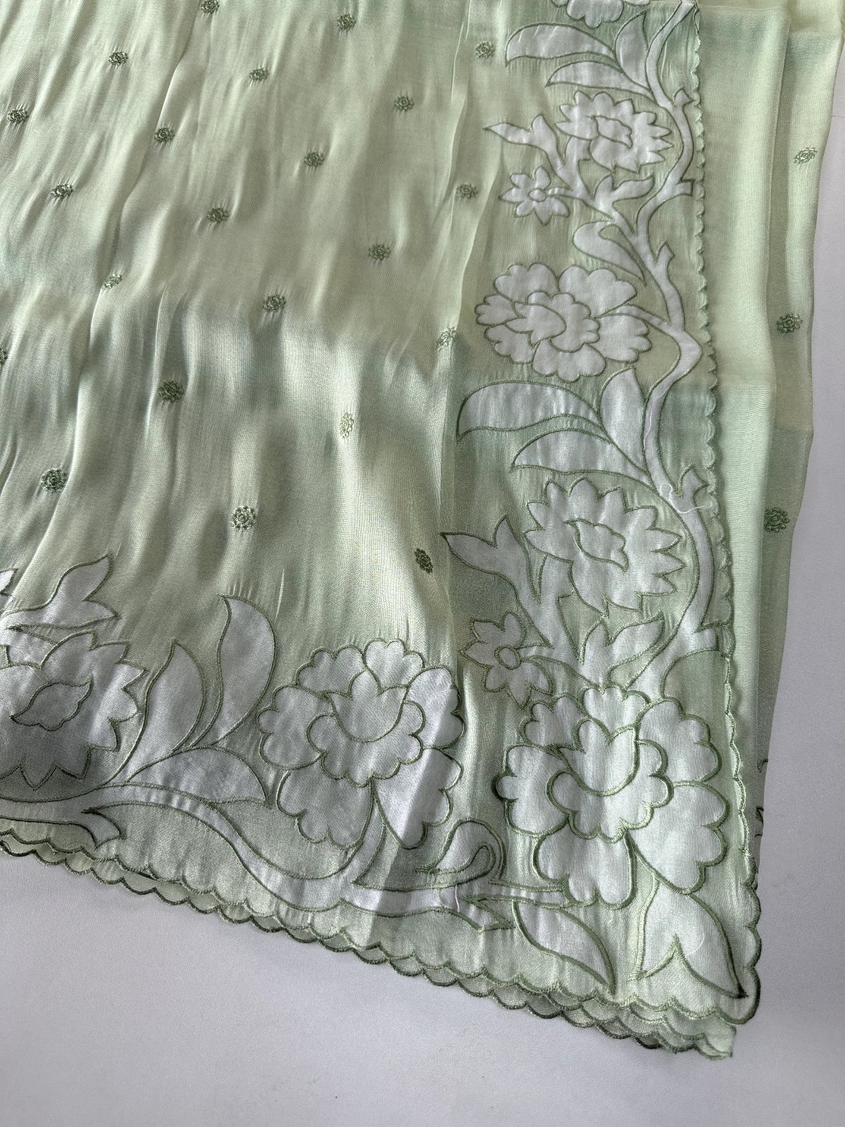 Tissue Organza Saree / CK093