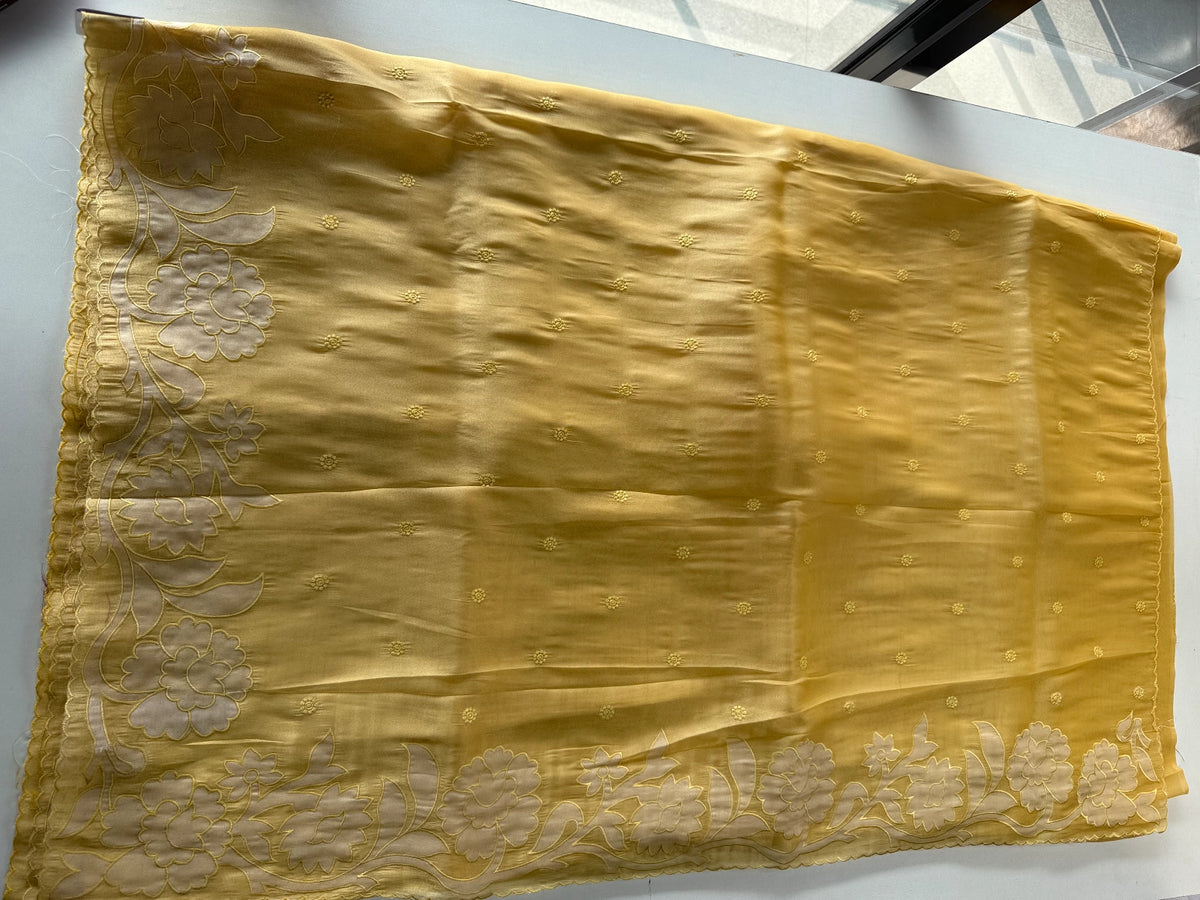 Tissue Organza Saree / CK093