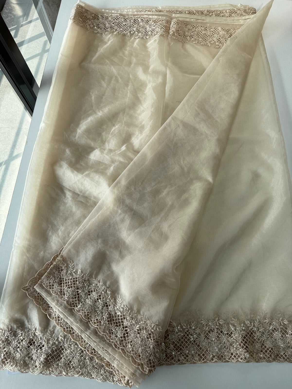 Soft Organza Saree / CW222