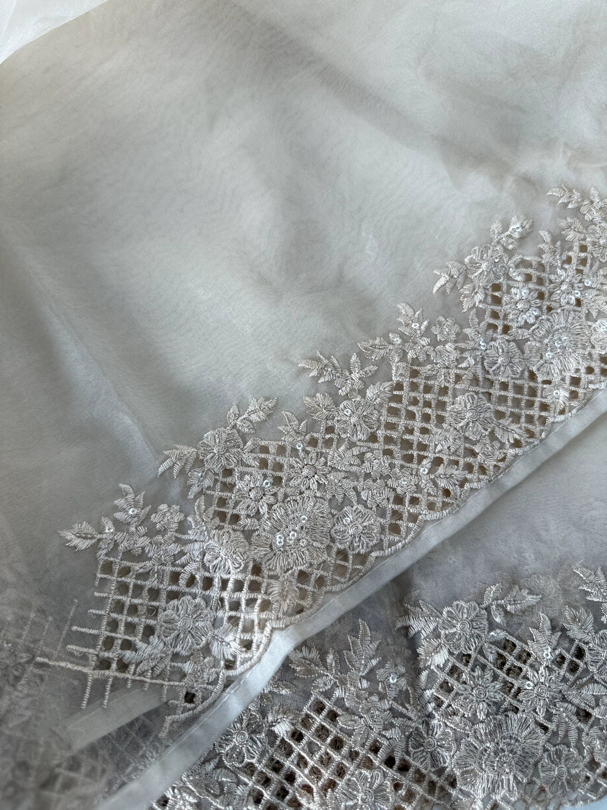 Soft Organza Saree / CW222