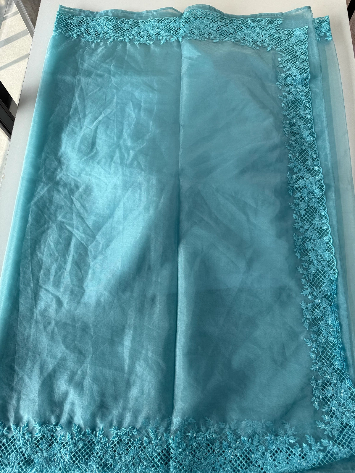 Soft Organza Saree / CW222