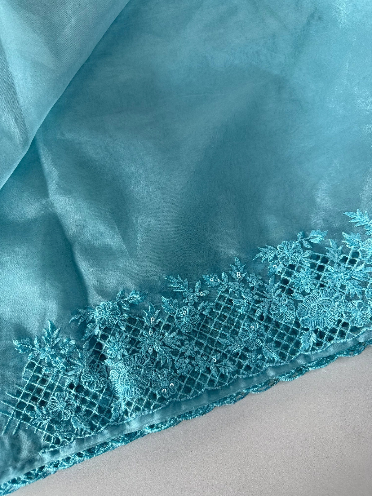 Soft Organza Saree / CW222