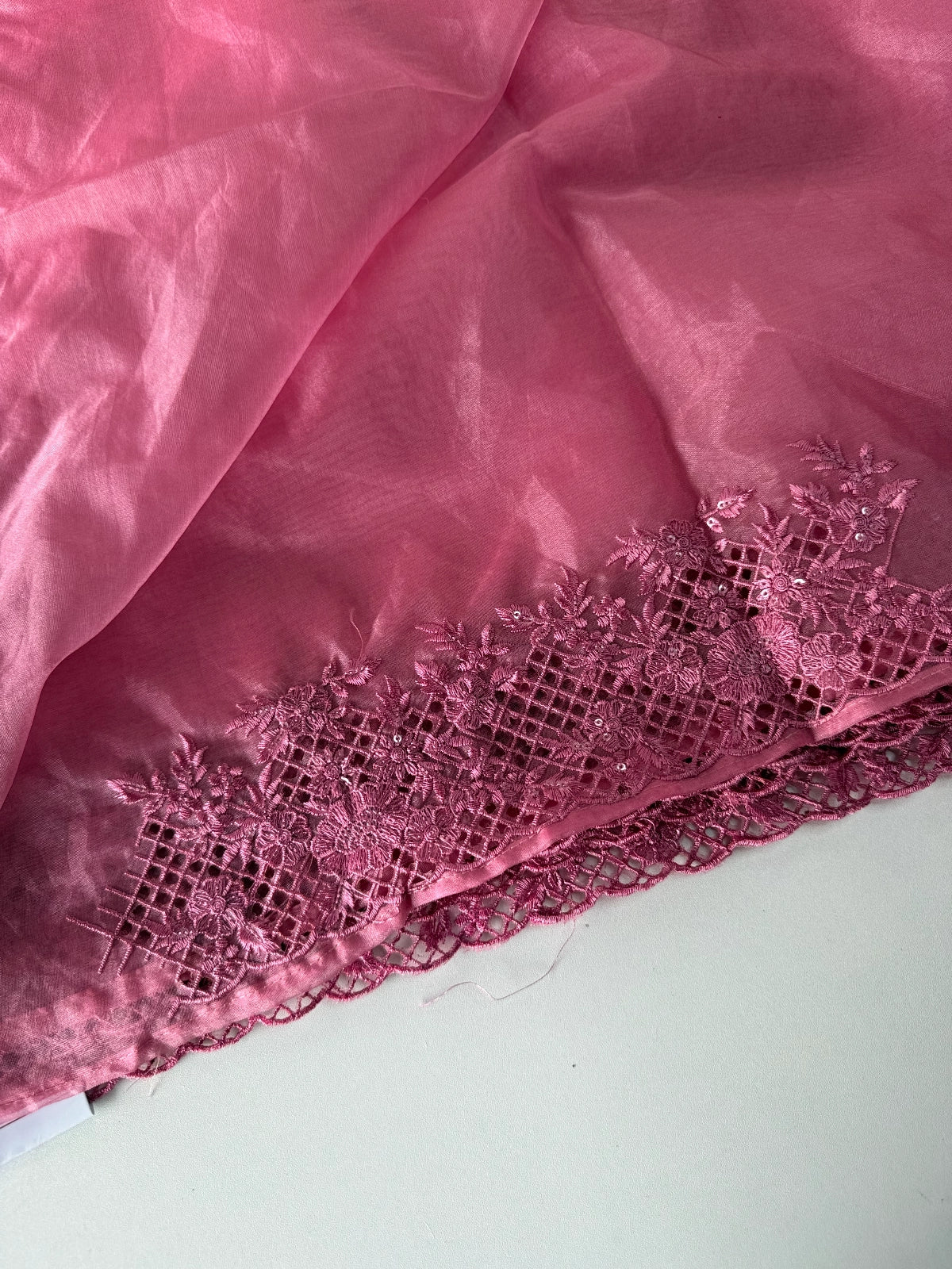 Soft Organza Saree / CW222