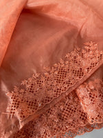 Soft Organza Saree / CW222
