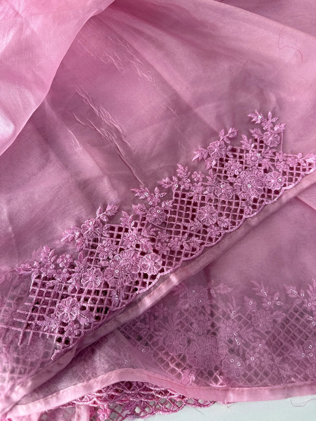 Soft Organza Saree / CW222