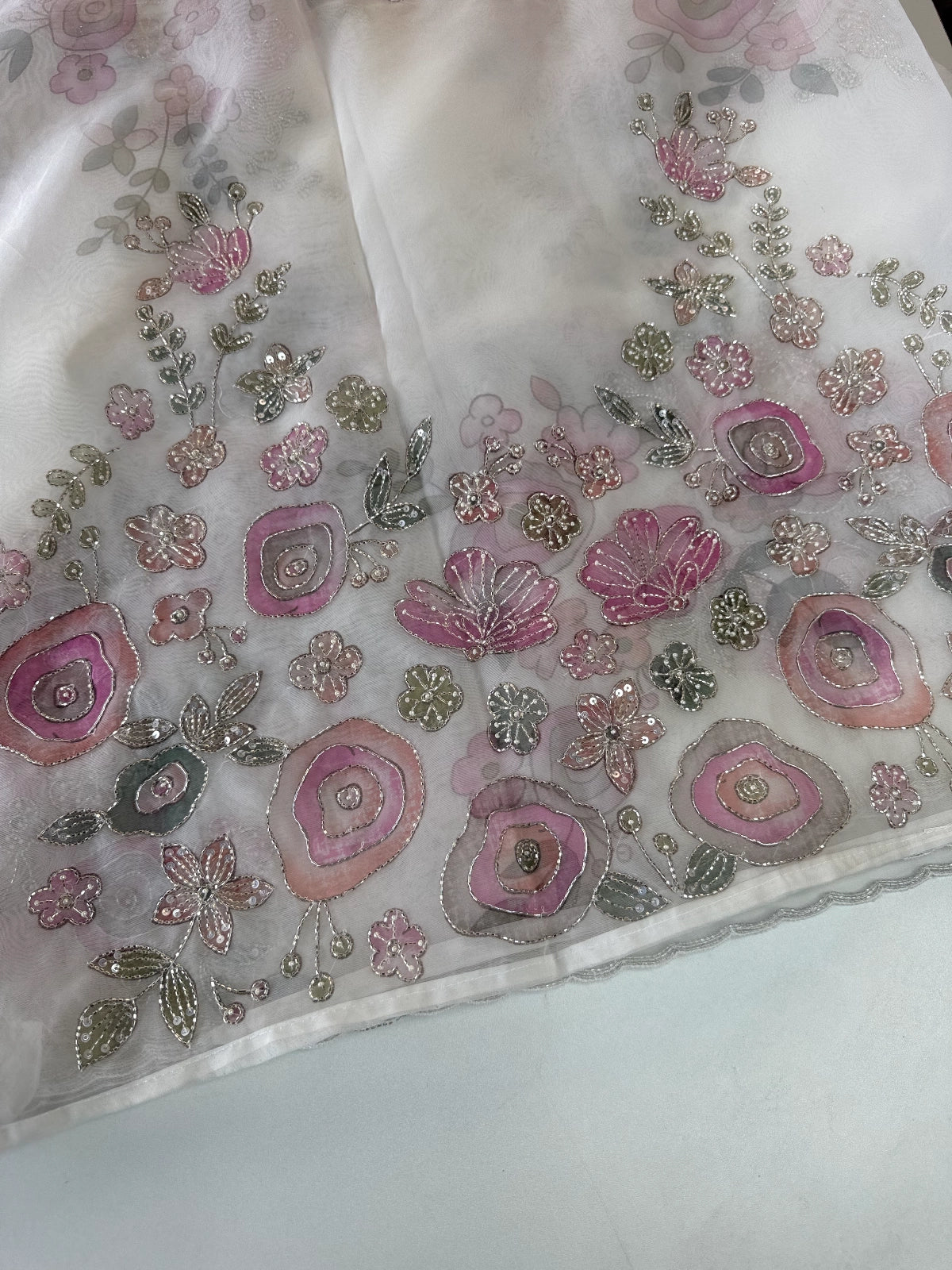 Organza saree / DG265