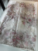 Organza saree / DG265