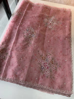 Organza Saree / BJ334