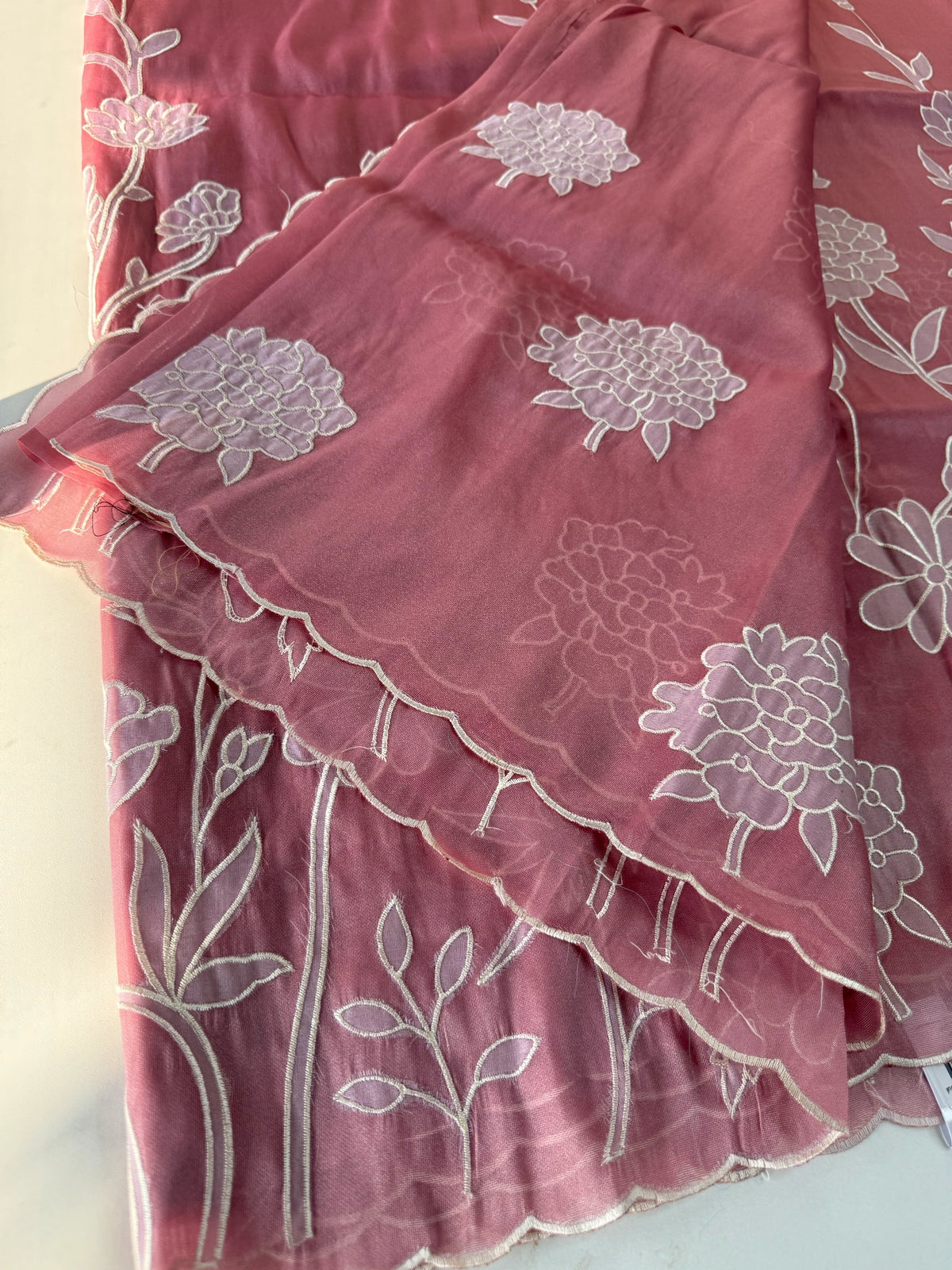 Tissue organza Saree/ RKF03