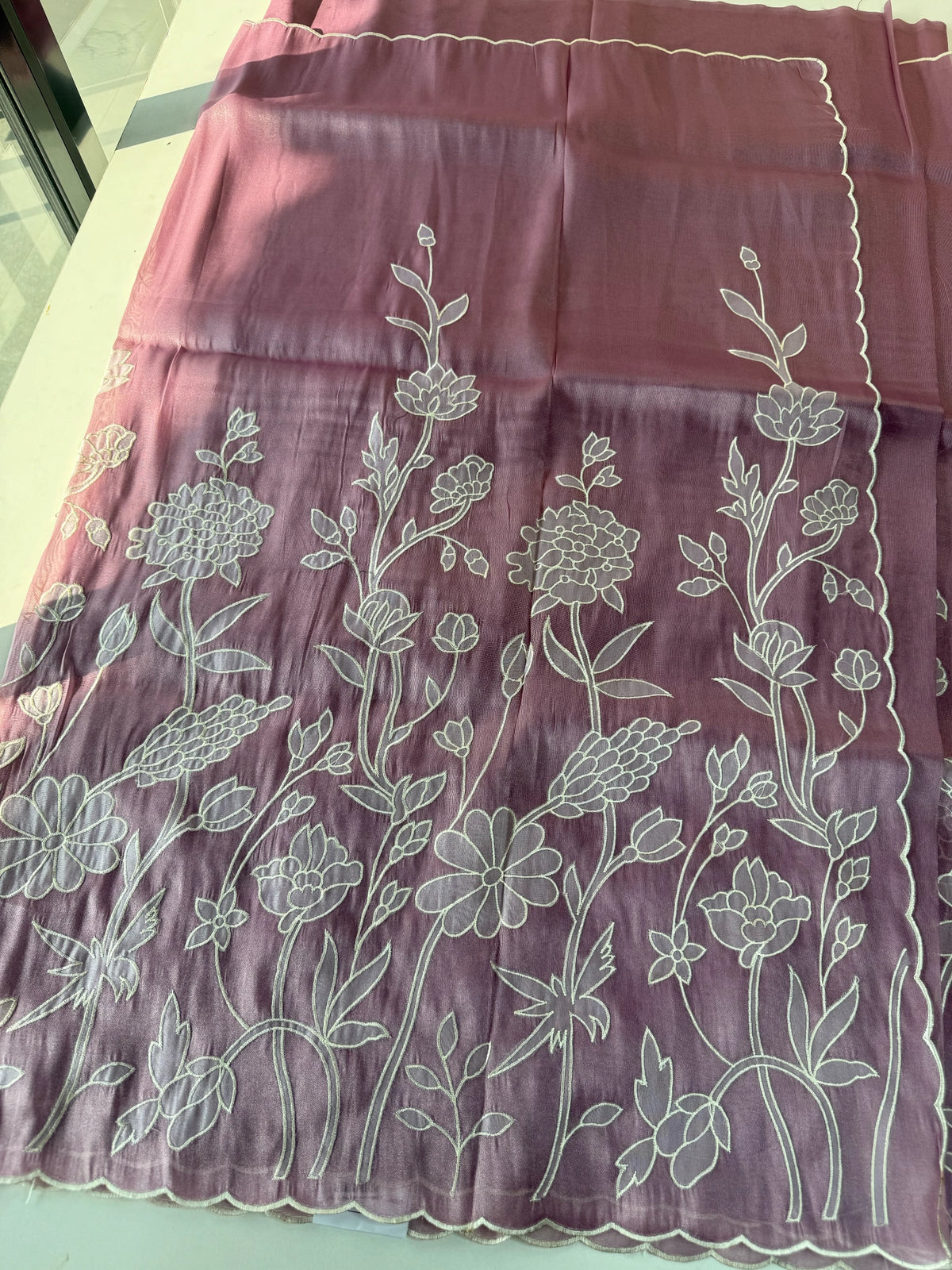 Tissue organza Saree/ RKF03