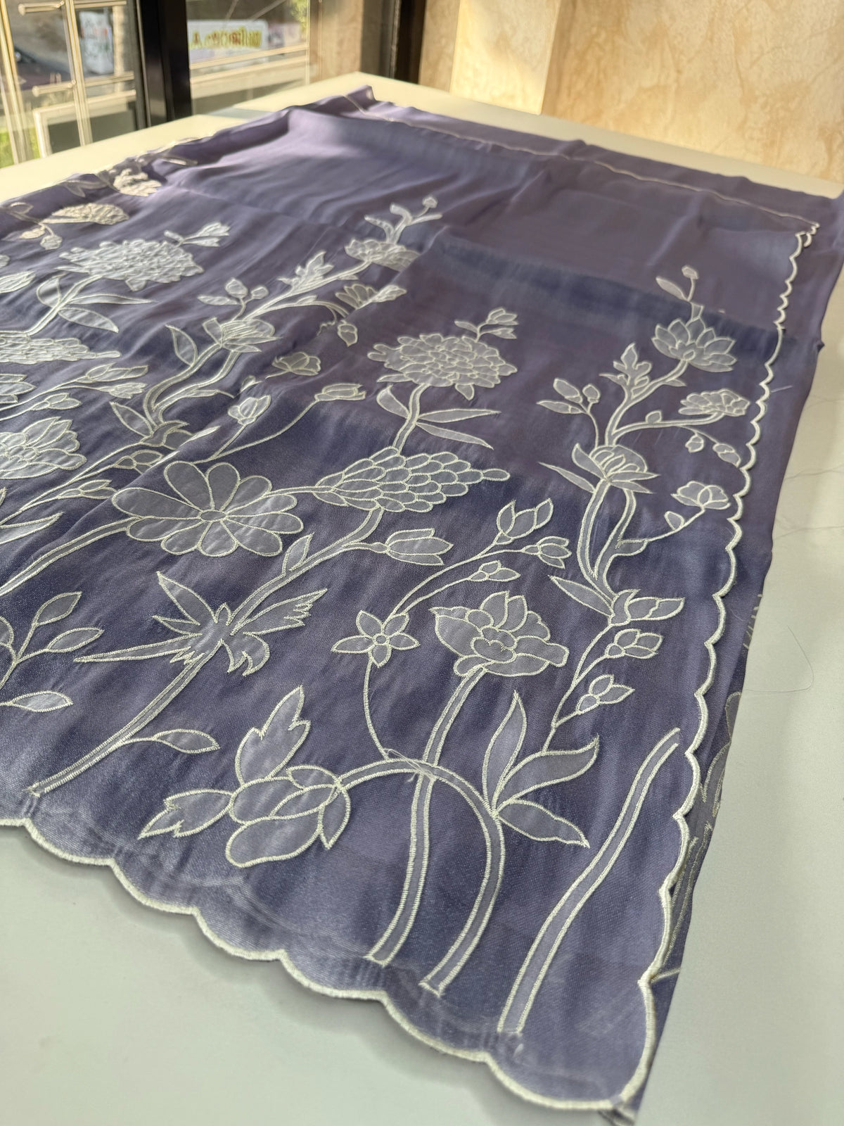 Tissue organza Saree/ RKF03