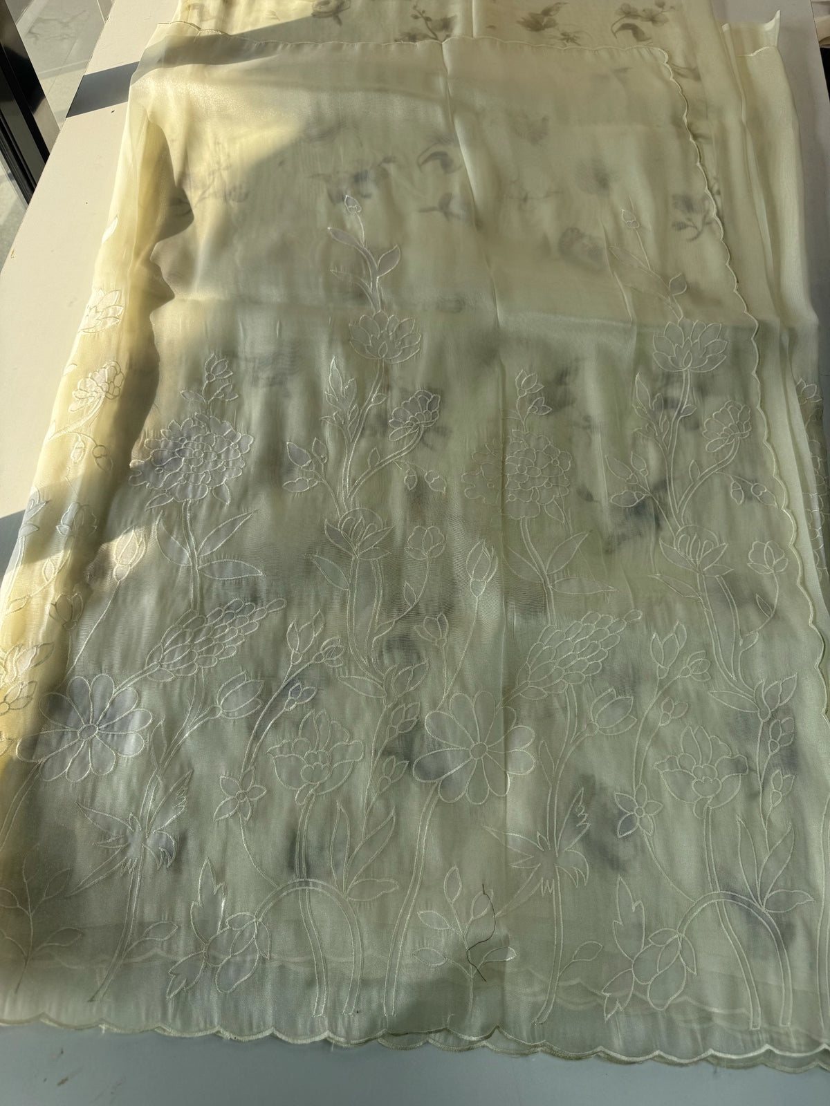 Tissue organza Saree/ RKF03