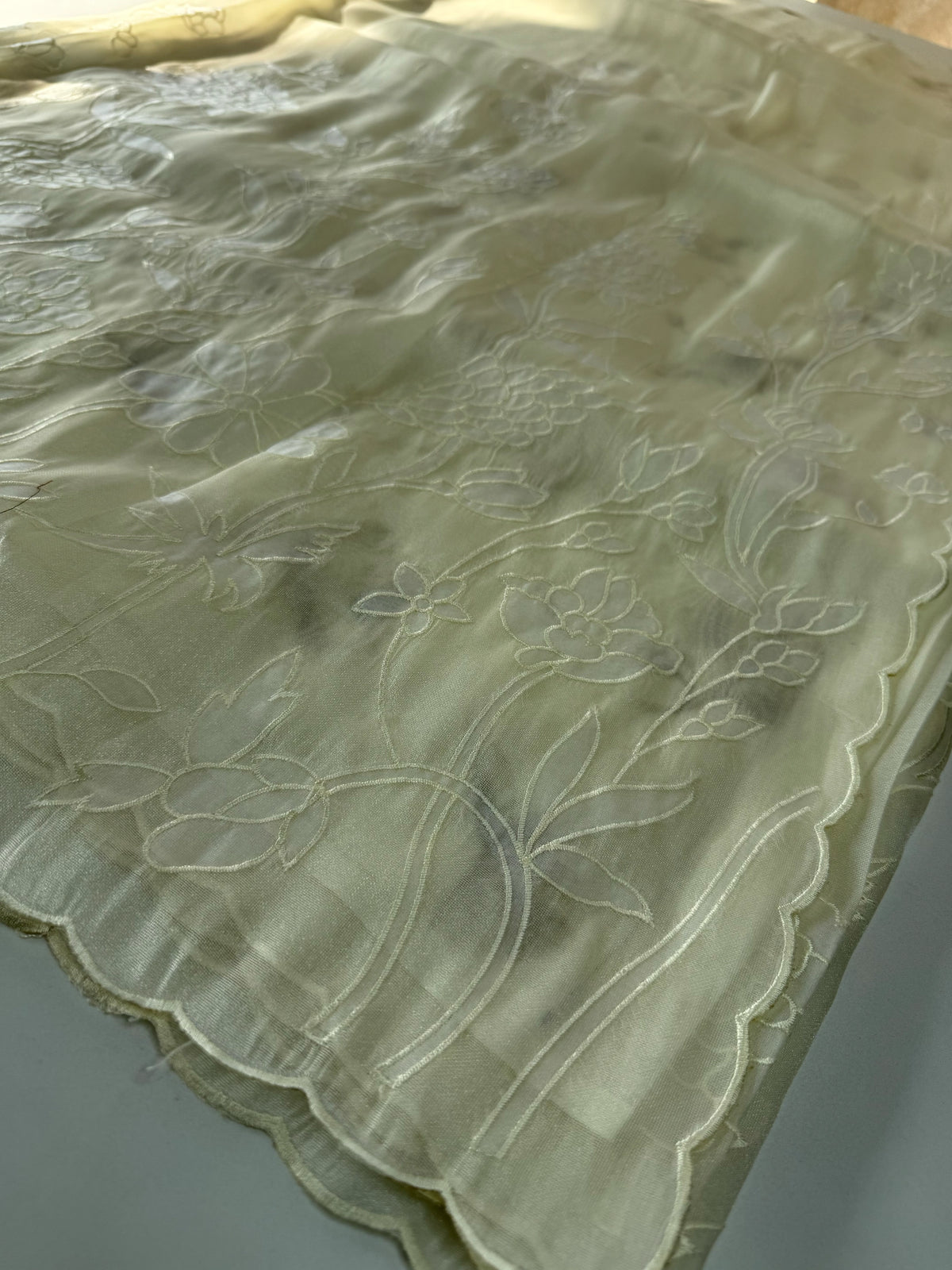 Tissue organza Saree/ RKF03